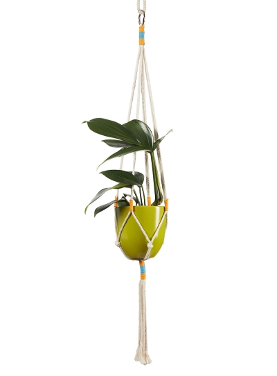 Kooish product image