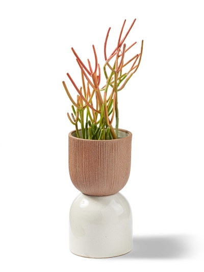 Kooish product image