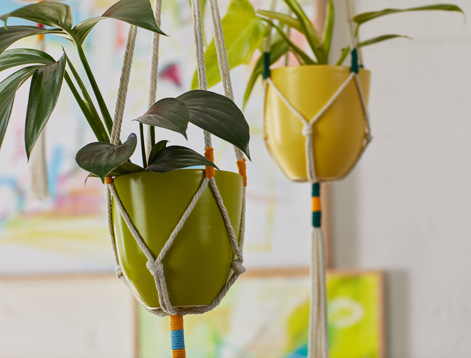 Kooish product image