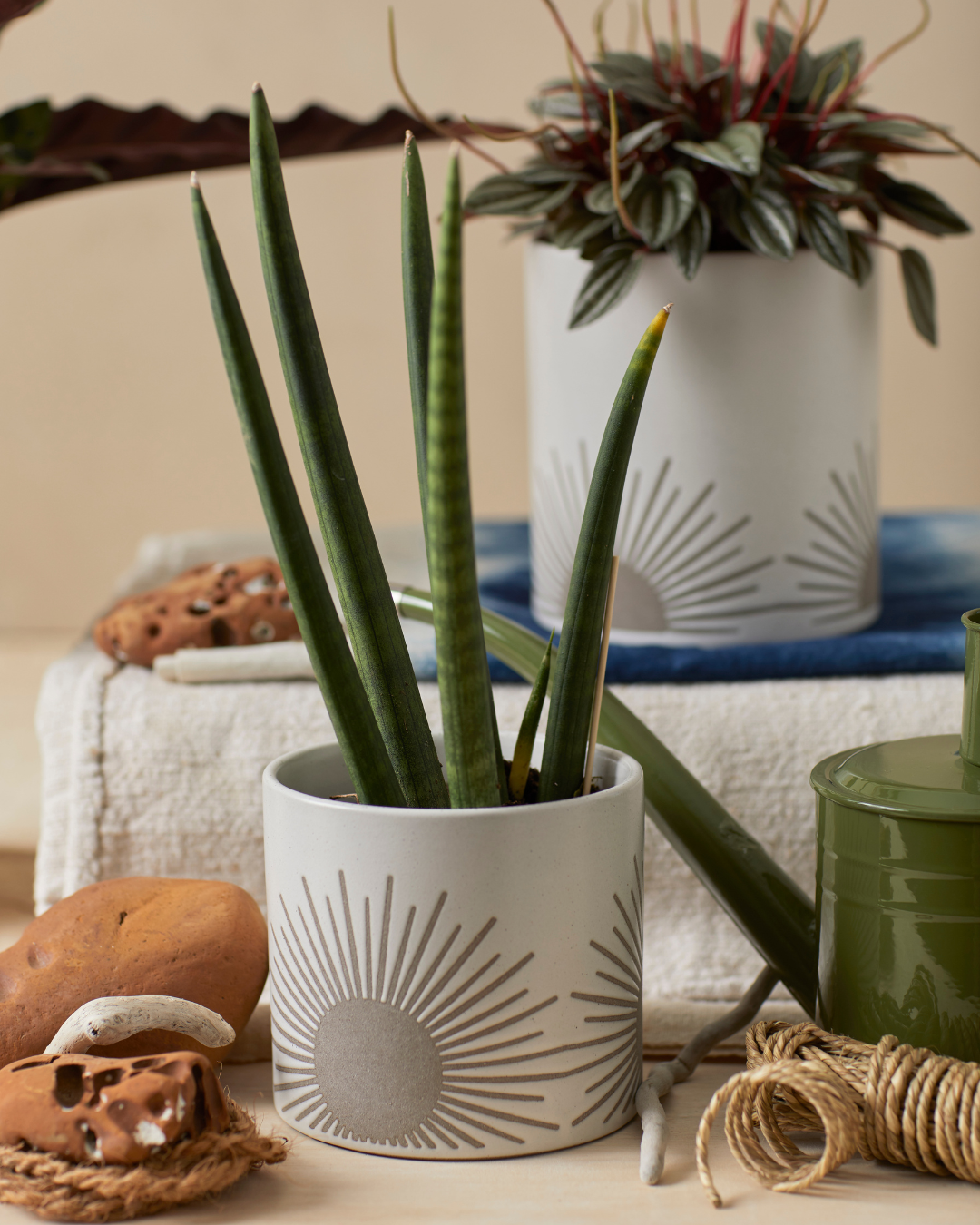 Kooish product image