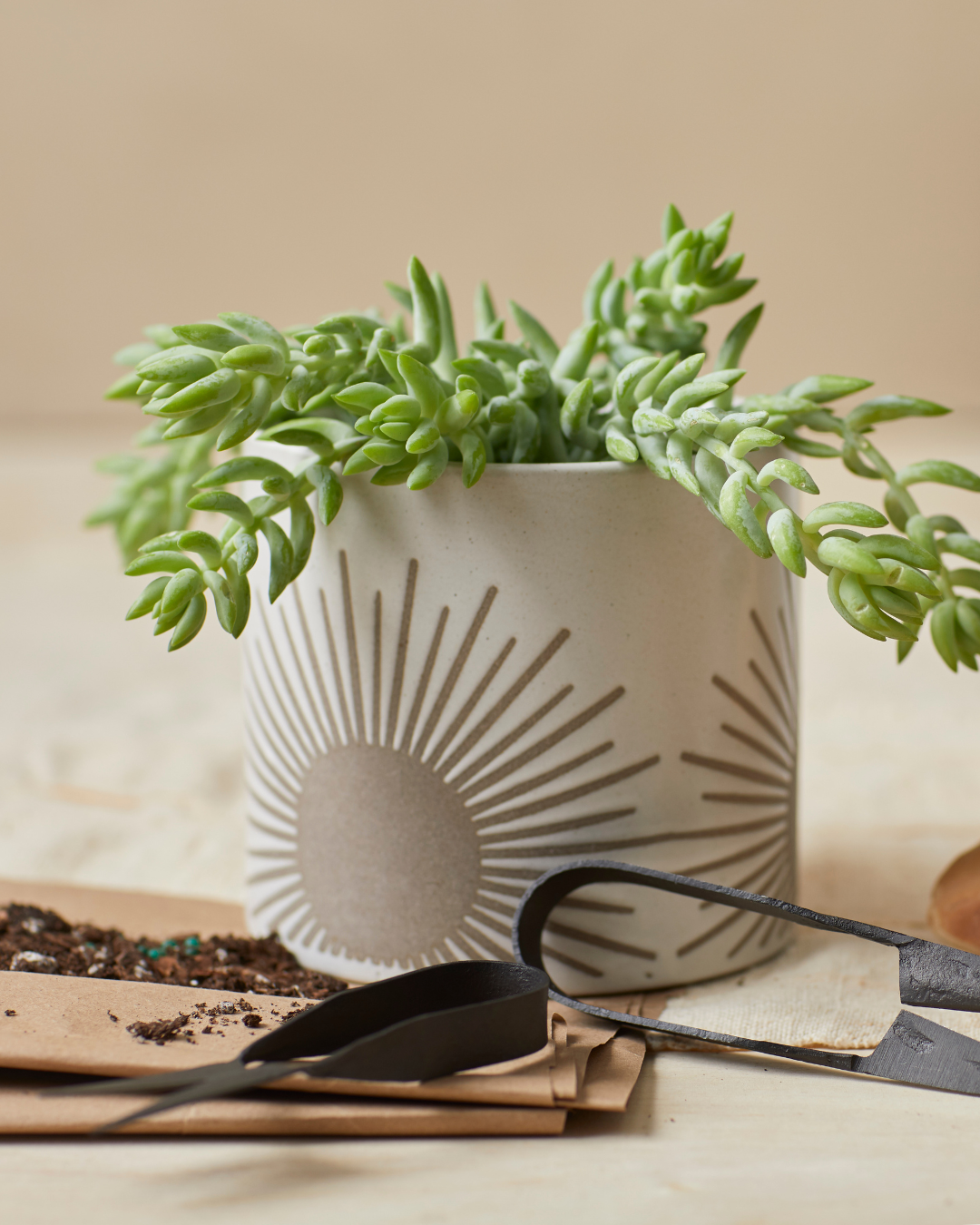 Kooish product image