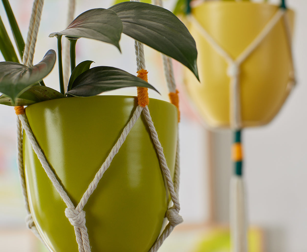 Kooish product image