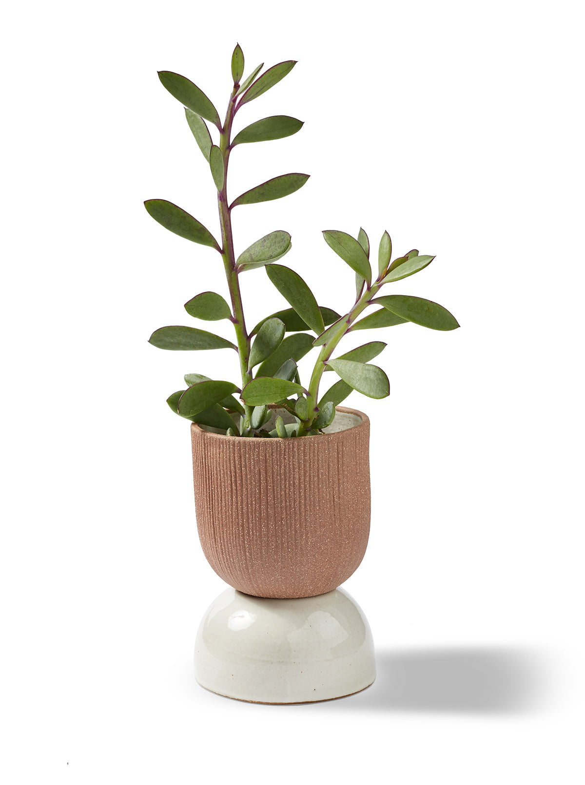 Kooish product image