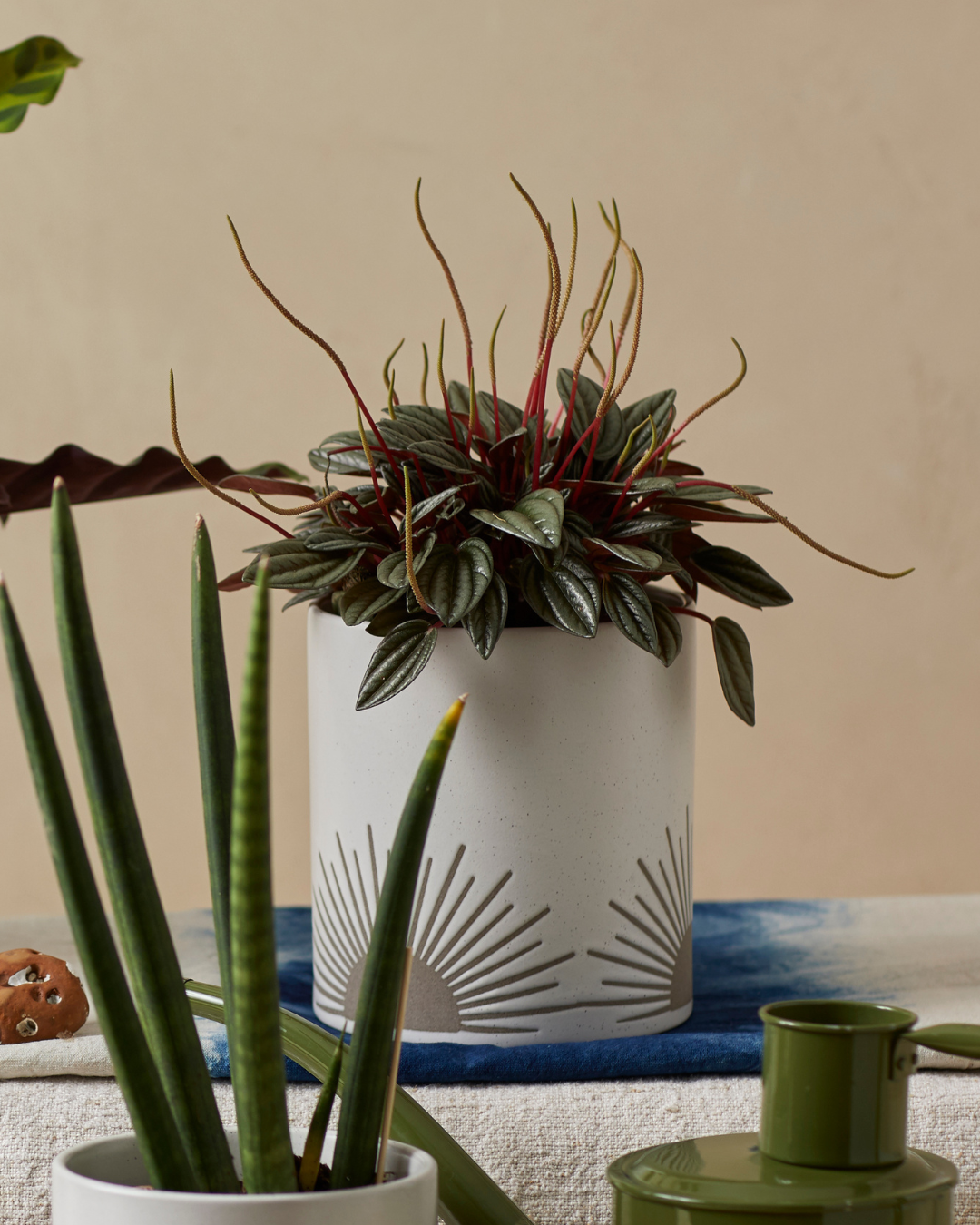 Kooish product image