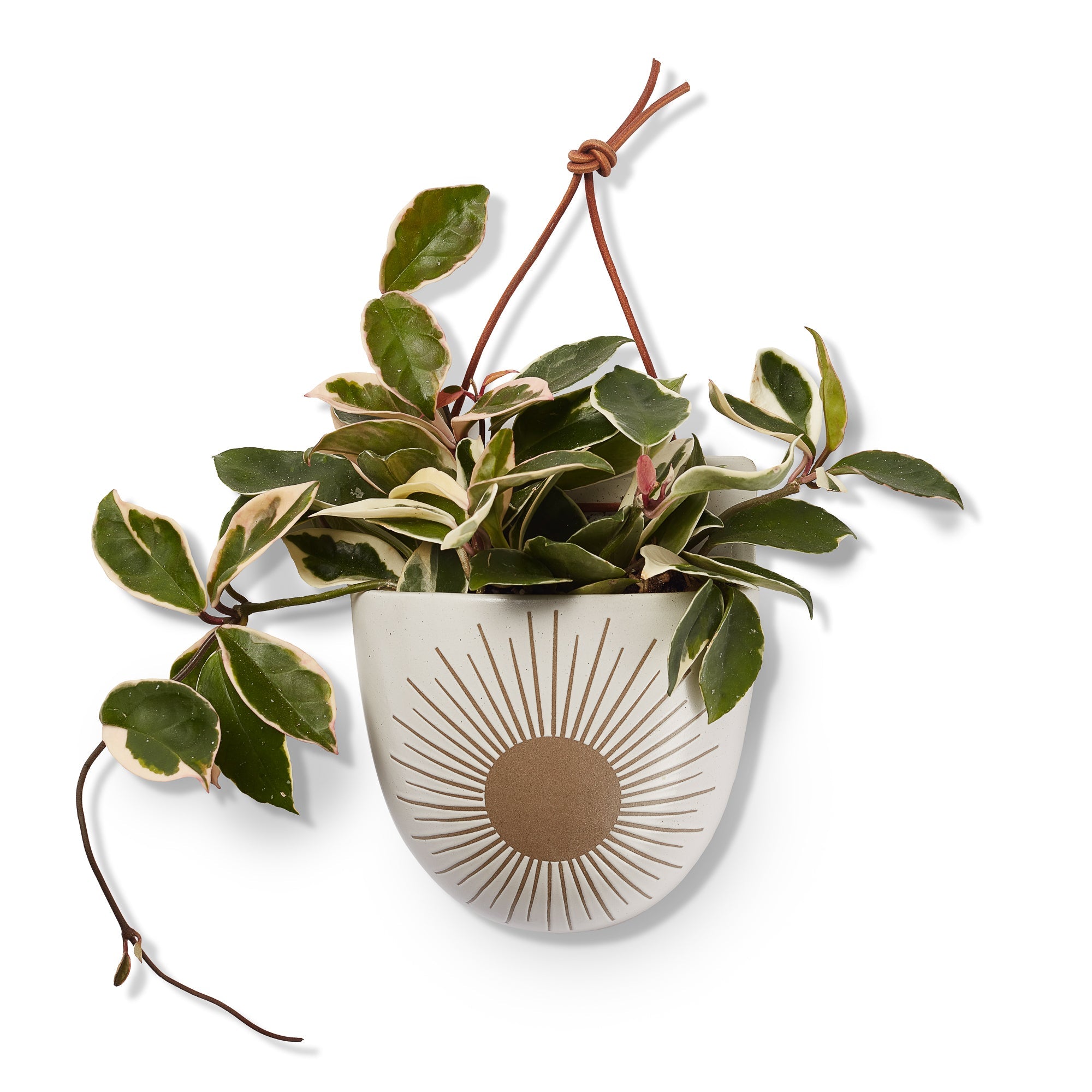 Kooish product image
