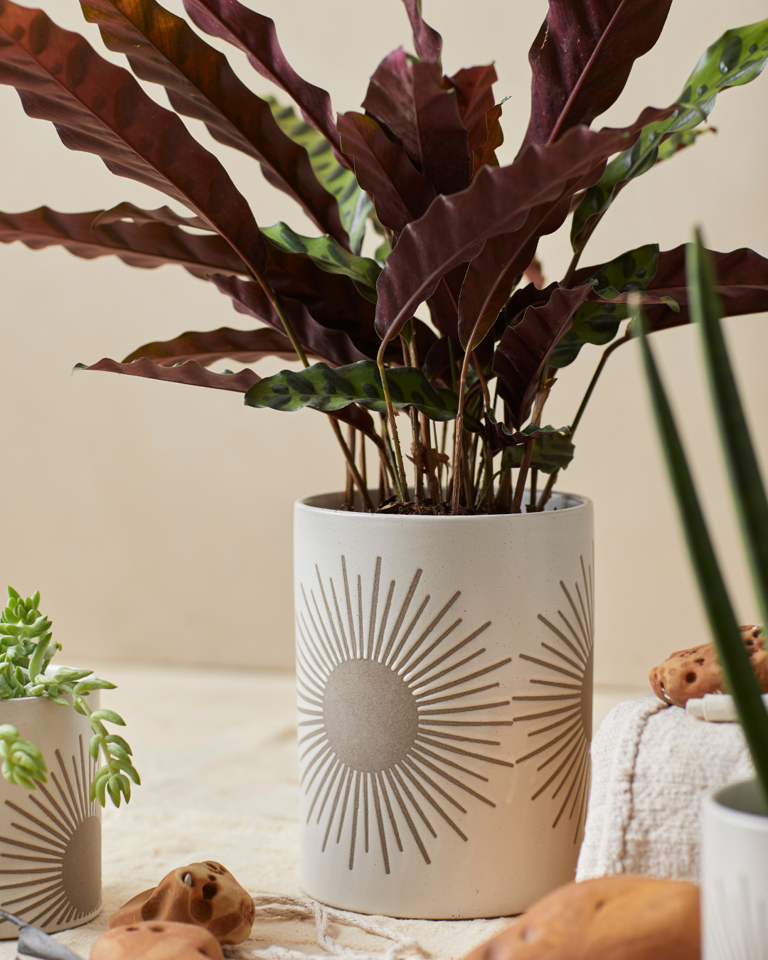Kooish product image