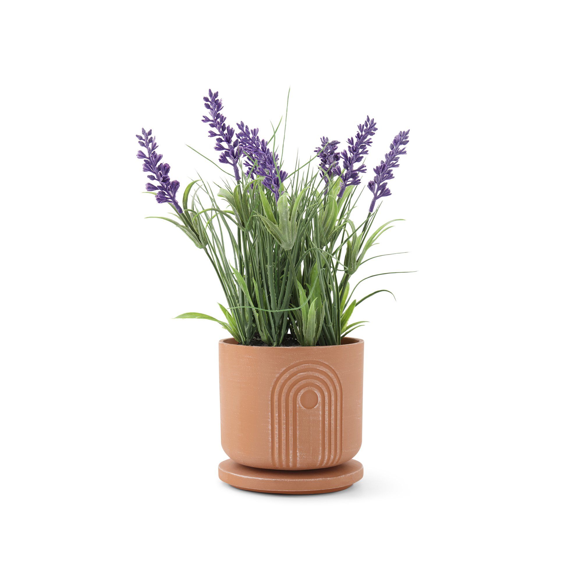 Kooish product image