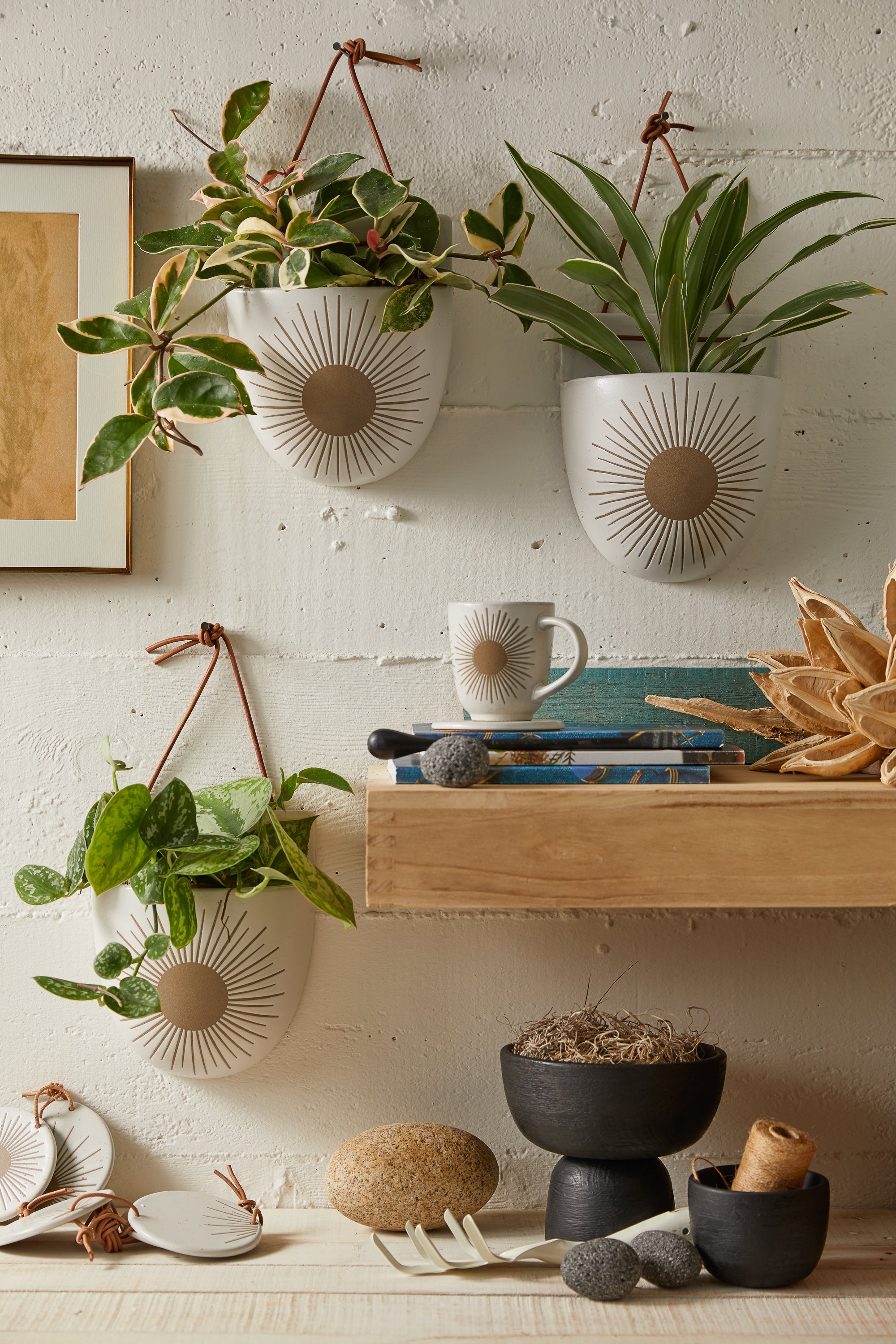 Kooish product image
