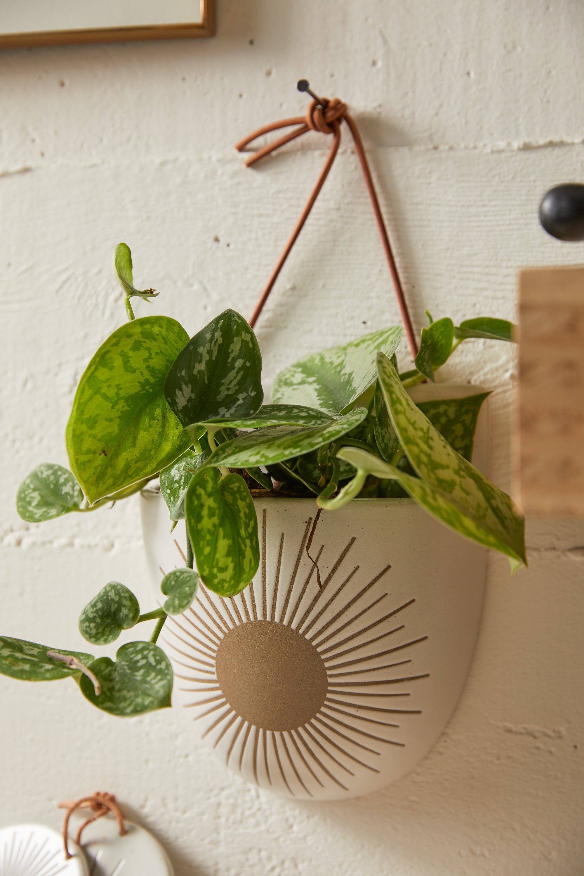 Kooish product image